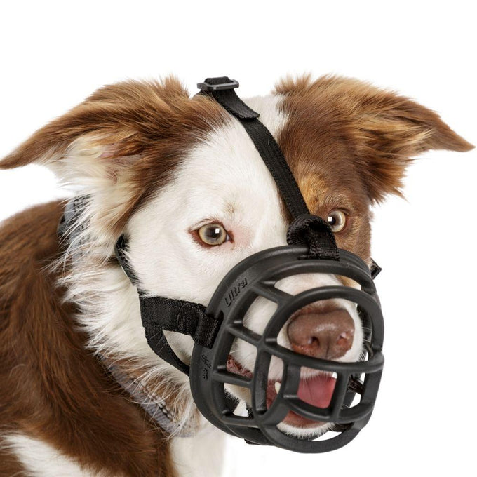 Baskerville Ultra Muzzle - Just For Pets Australia