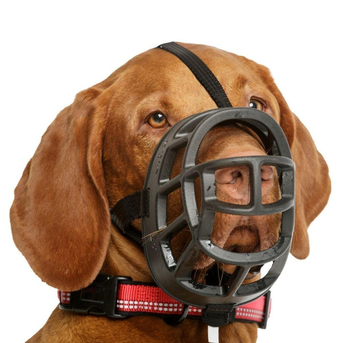 Baskerville Ultra Muzzle - Just For Pets Australia