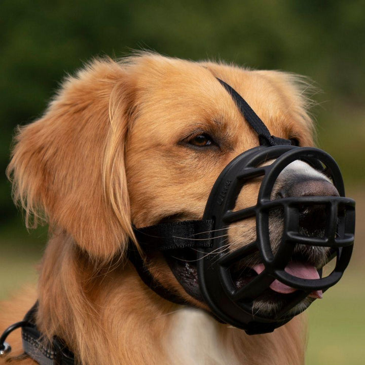 Baskerville Ultra Muzzle - Just For Pets Australia