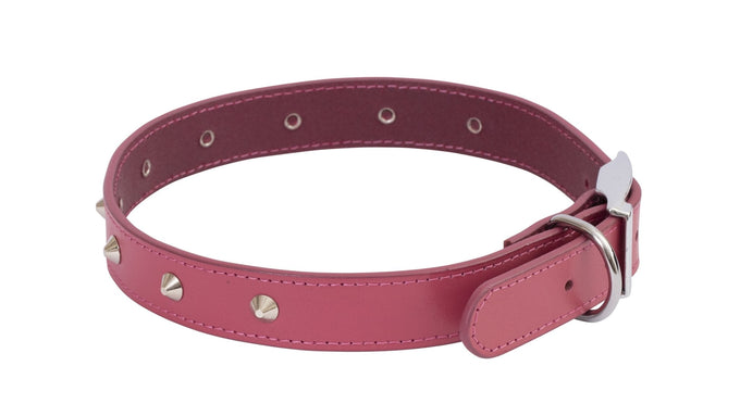 Beau Pets Leather Deluxe Sewn Stud Collar - Just For Pets Australia