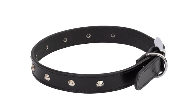 Beau Pets Leather Deluxe Sewn Stud Collar - Just For Pets Australia