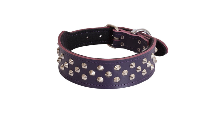 Beau Pets Leather Staffy Stud Collar - Just For Pets Australia