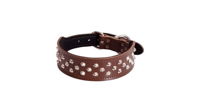 Beau Pets Leather Staffy Stud Collar - Just For Pets Australia