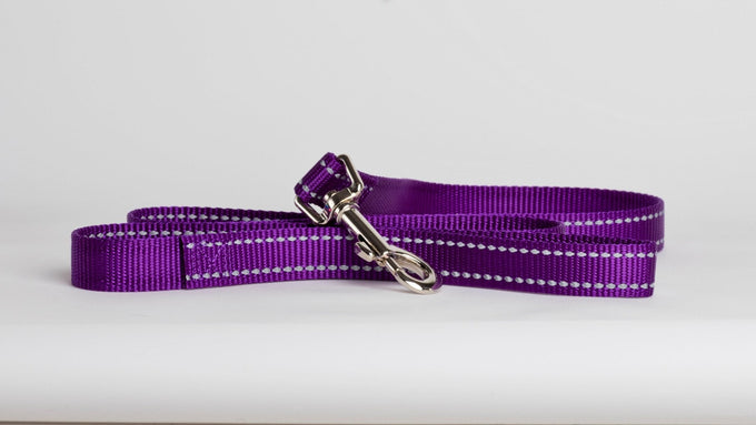 Beau Pets Reflective Nylon Dog Lead - Just For Pets Australia