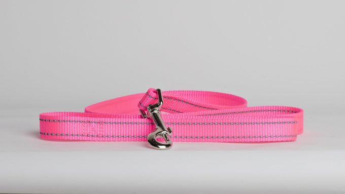 Beau Pets Reflective Nylon Dog Lead - Just For Pets Australia