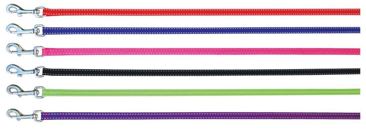 Beau Pets Reflective Nylon Puppy Lead - Just For Pets Australia