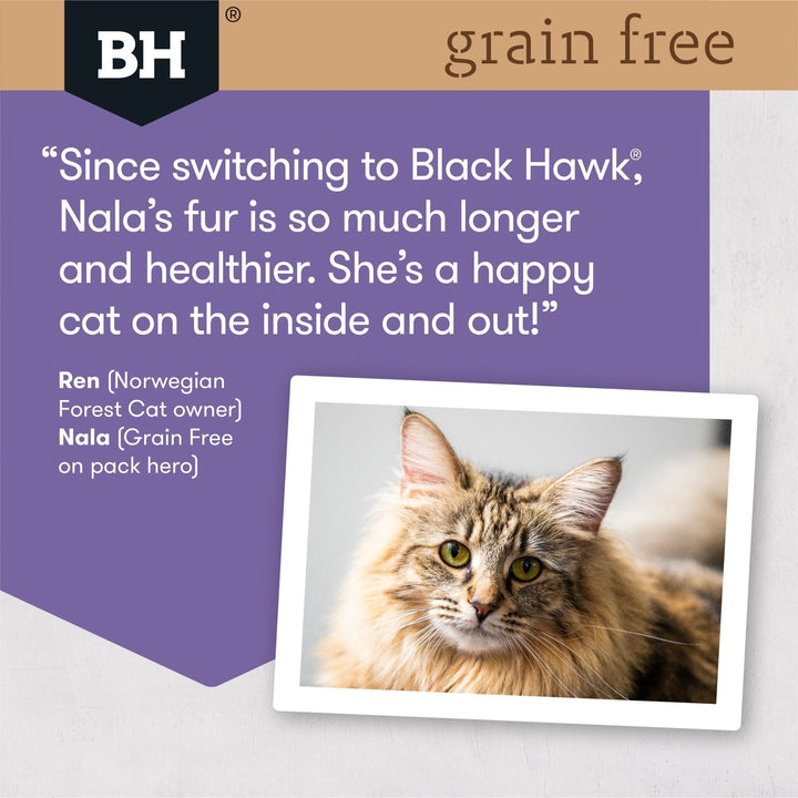 Black Hawk Grain Free Adult Cat Duck & Fish Dry Food - Just For Pets Australia