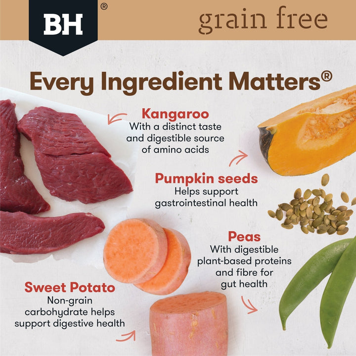 Black Hawk Grain Free Adult Kangaroo Dry Dog Food - Just For Pets Australia