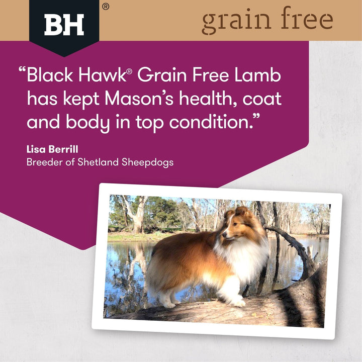 Black Hawk Grain Free Adult Lamb Dry Dog Food - Just For Pets Australia