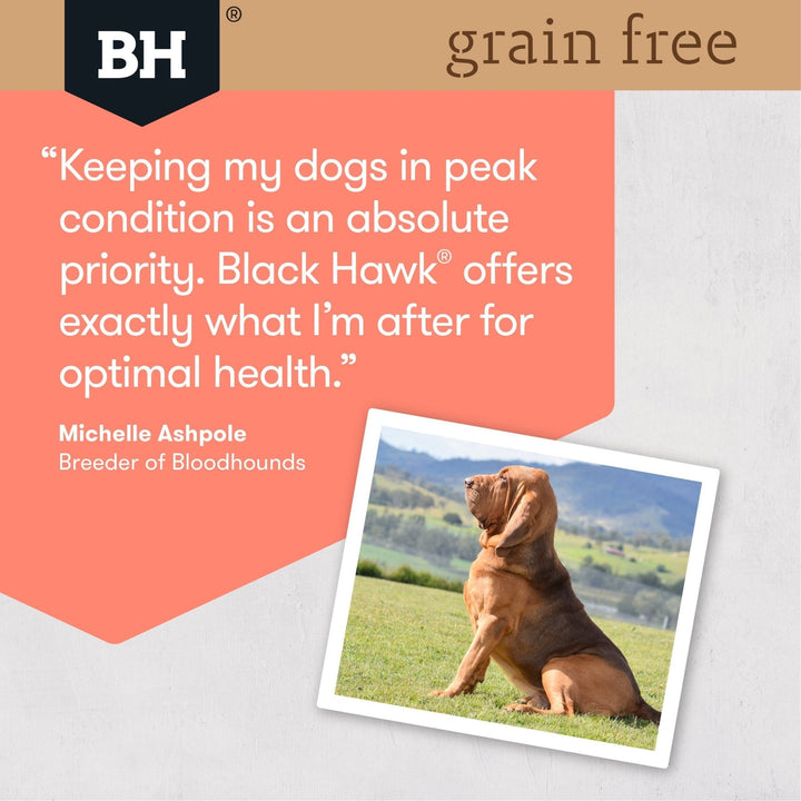 Black Hawk Grain Free Adult Salmon Dry Dog Food - Just For Pets Australia