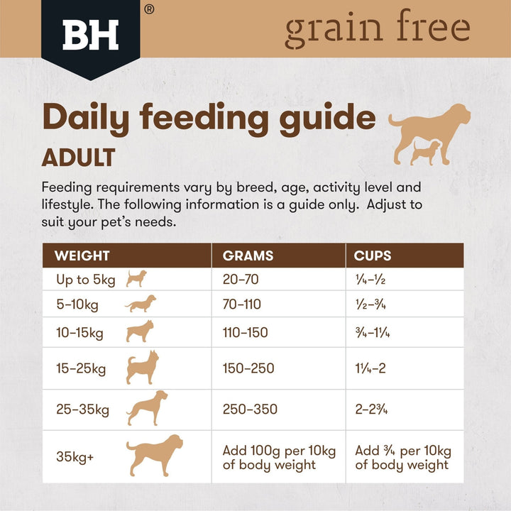 Black Hawk Grain Free Adult Salmon Dry Dog Food - Just For Pets Australia