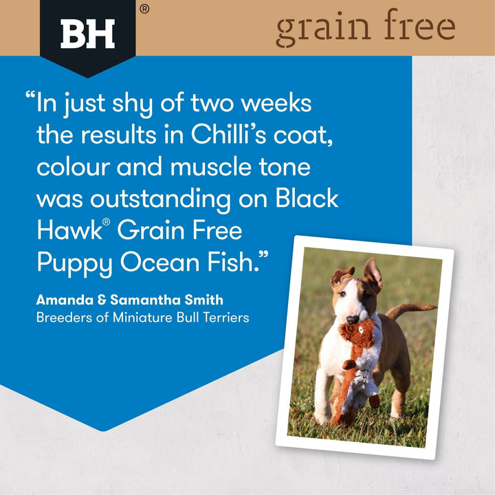 Black Hawk Grain Free Puppy Ocean Fish Dry Food - Just For Pets Australia