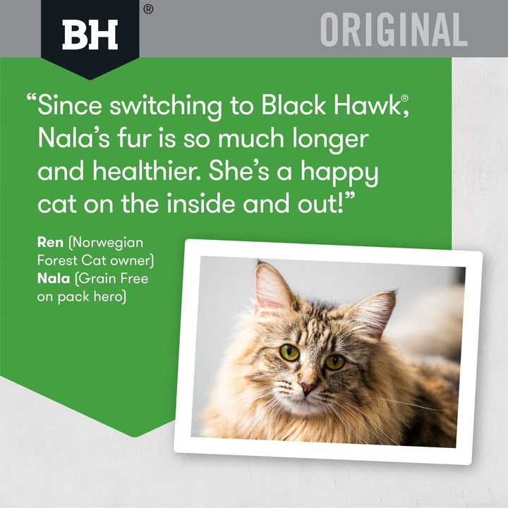 Black Hawk Original Adult Cat Chicken & Rice Dry Food - Just For Pets Australia