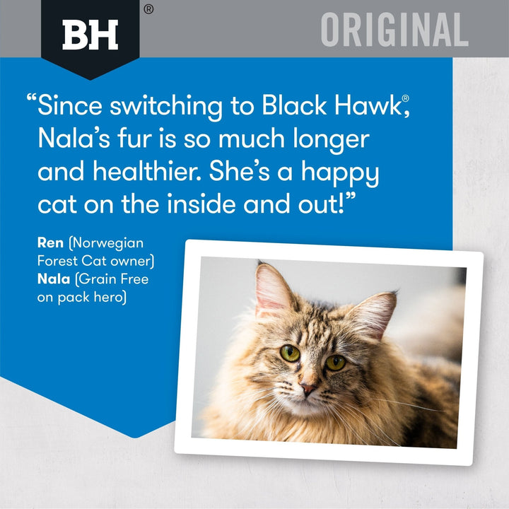 Black Hawk Original Adult Cat Fish Dry Food - Just For Pets Australia