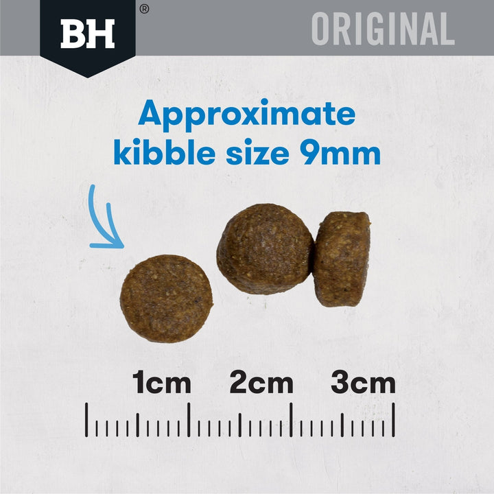 Black Hawk Original Adult Cat Fish Dry Food - Just For Pets Australia