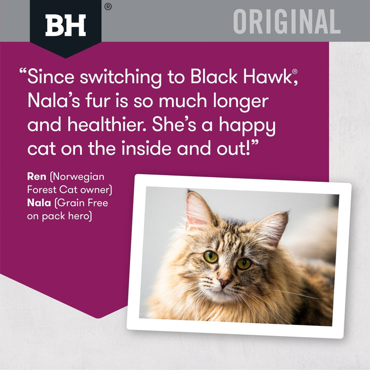 Black Hawk Original Adult Cat Lamb & Rice Dry Food - Just For Pets Australia
