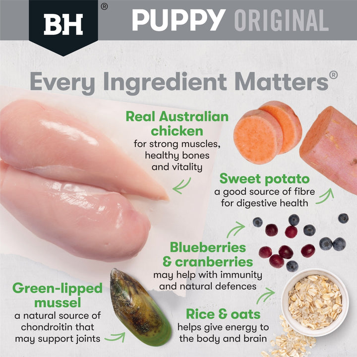 Black Hawk Original Chicken & Rice Large Breed Puppy - Just For Pets Australia