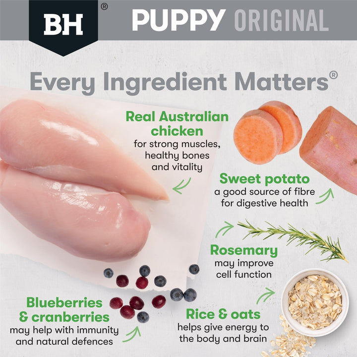 Black Hawk Original Chicken & Rice Medium Breed Puppy - Just For Pets Australia