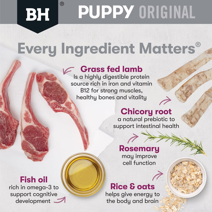 Black Hawk Original Lamb & Rice Small Breed Puppy - Just For Pets Australia