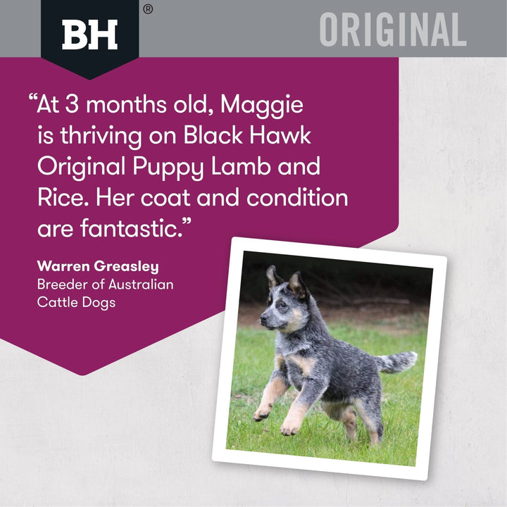 Black Hawk Original Puppy Lamb & Rice Dry Food - Just For Pets Australia
