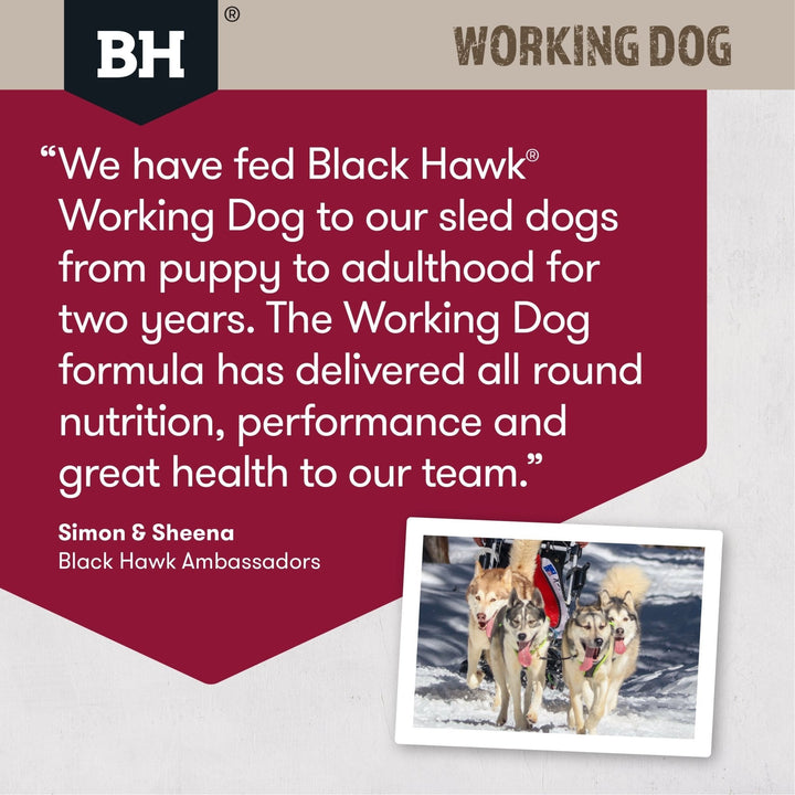 Black Hawk Working Dog Lamb & Beef Dry Food 20kg - Just For Pets Australia