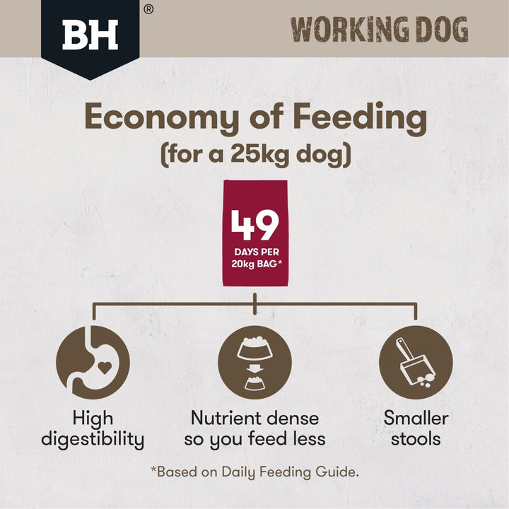 Black Hawk Working Dog Lamb & Beef Dry Food 20kg - Just For Pets Australia