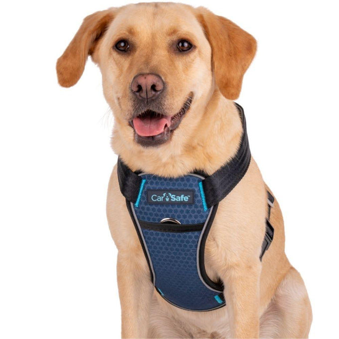 CarSafe Crash Tested Harness - Just For Pets Australia