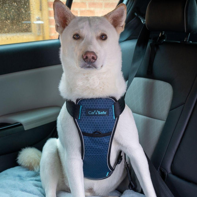 CarSafe Crash Tested Harness - Just For Pets Australia