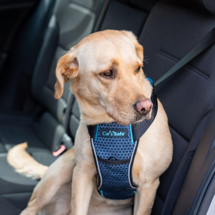 CarSafe Crash Tested Harness - Just For Pets Australia