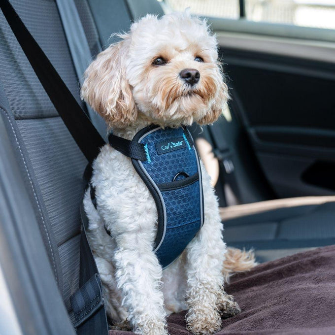 CarSafe Crash Tested Harness - Just For Pets Australia