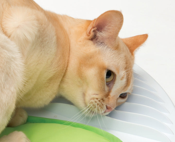 Catit Senses Wellness Centre - Just For Pets Australia