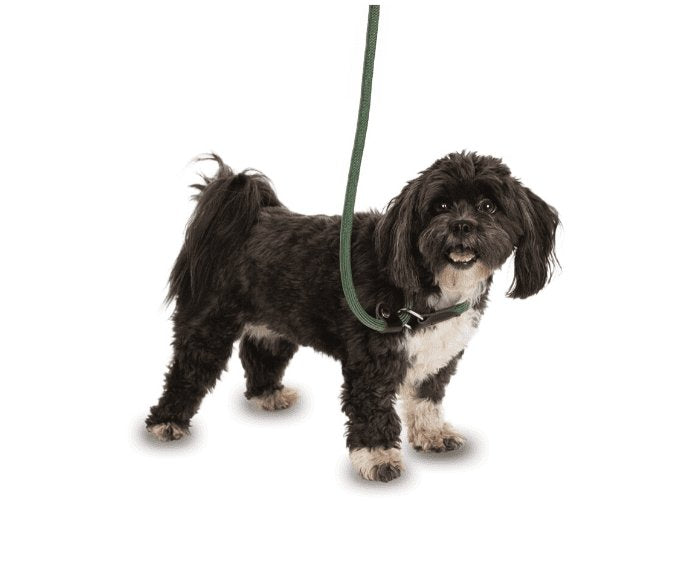 Company of Animal 3 in 1 Slip Lead Black Large 1.7Mtr - Just For Pets Australia