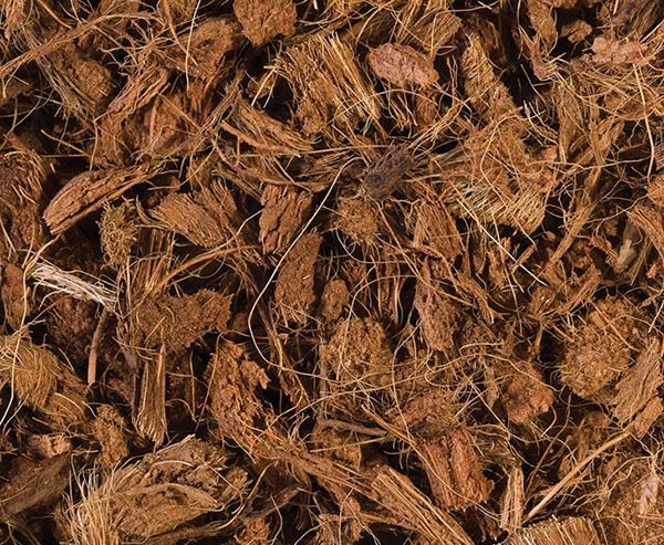 Cariba Sea Coco Fresh 10qt - Just For Pets Australia