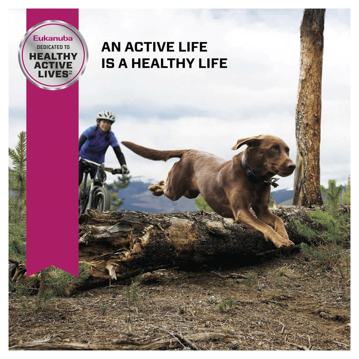 Eukanuba™ Adult Large Breed Dry Dog Food 15kg - Just For Pets Australia