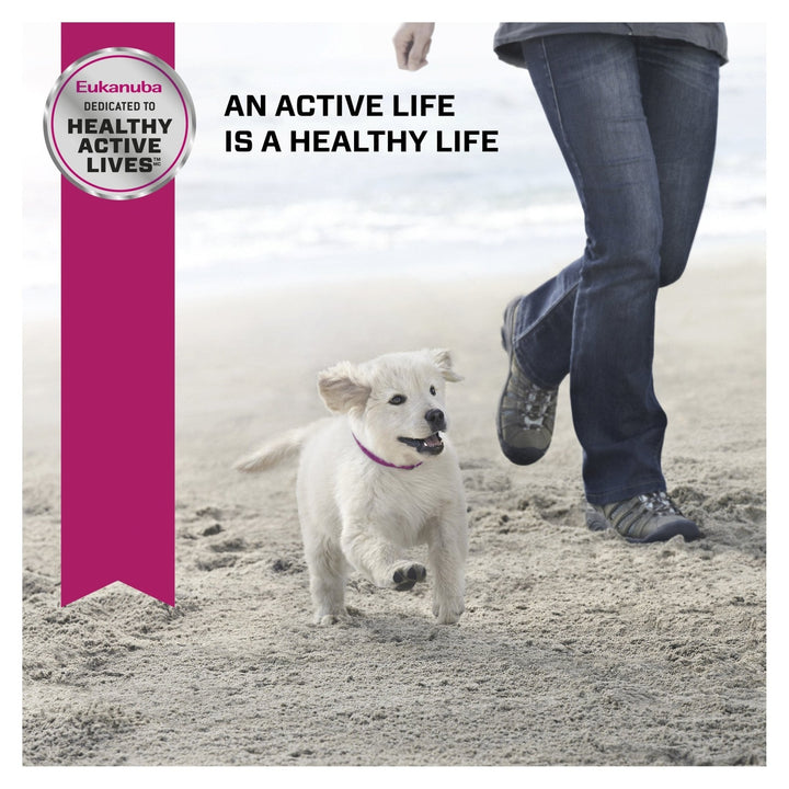 Eukanuba™ Puppy Large Breed Dry Dog Food 15kg - Just For Pets Australia