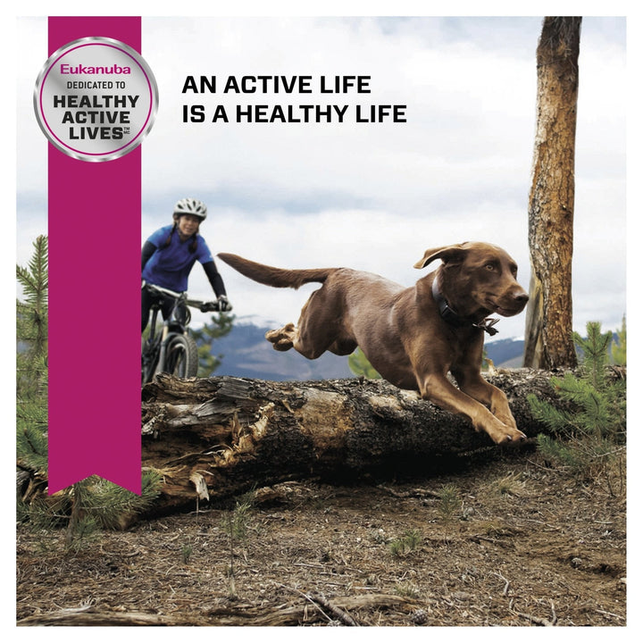 Eukanuba™ Senior Large Breed 14kg - Just For Pets Australia