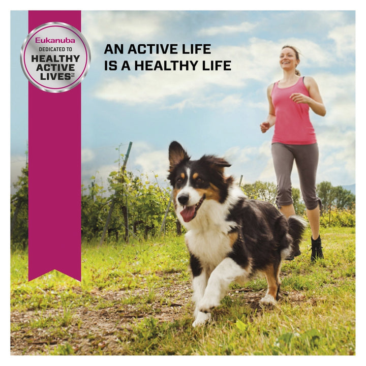 Eukanuba™ Senior Small Breed 3kg - Just For Pets Australia