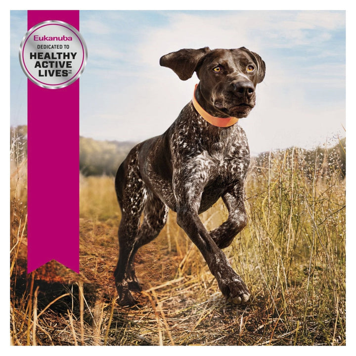 EUKANUBA™ Sport 30/20 Dry Dog Food 15kg - Just For Pets Australia