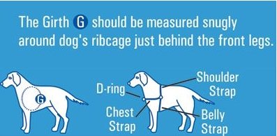 Gentle Leader Harness - Just For Pets Australia