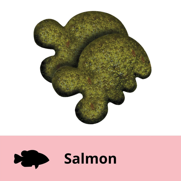 GREENIES™ Feline Dental Cat Treat Savoury Salmon Flavour 10x71g - Just For Pets Australia