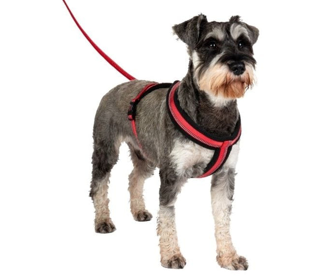 Halti Comfy Walking Harness - Just For Pets Australia