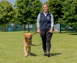 Halti Head Collar - Just For Pets Australia