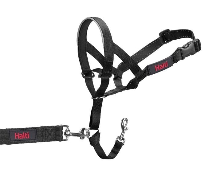 Halti Head Collar - Just For Pets Australia