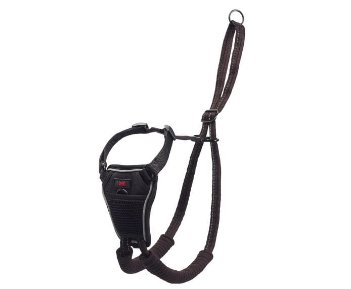 Halti No Pull Harness - Just For Pets Australia
