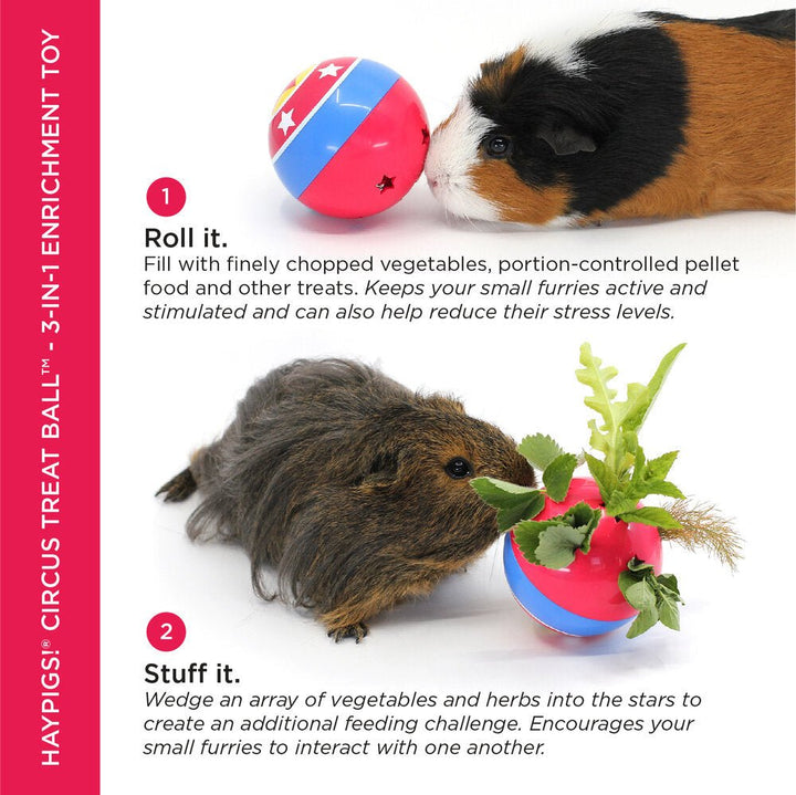 HayPigs! Circus Treat Ball 3-in-1 Enrichment Toy - Just For Pets Australia