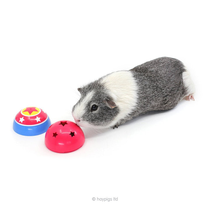 HayPigs! Circus Treat Ball 3-in-1 Enrichment Toy - Just For Pets Australia