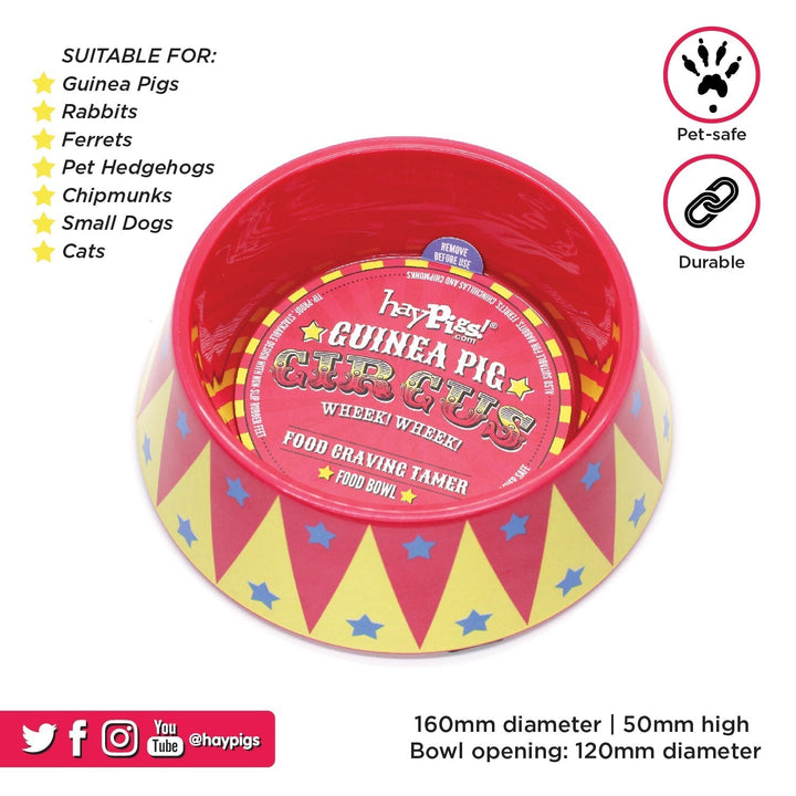HayPigs! Food Craving Tamer Food Bowl - Just For Pets Australia