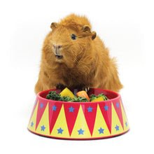 HayPigs! Food Craving Tamer Food Bowl - Just For Pets Australia