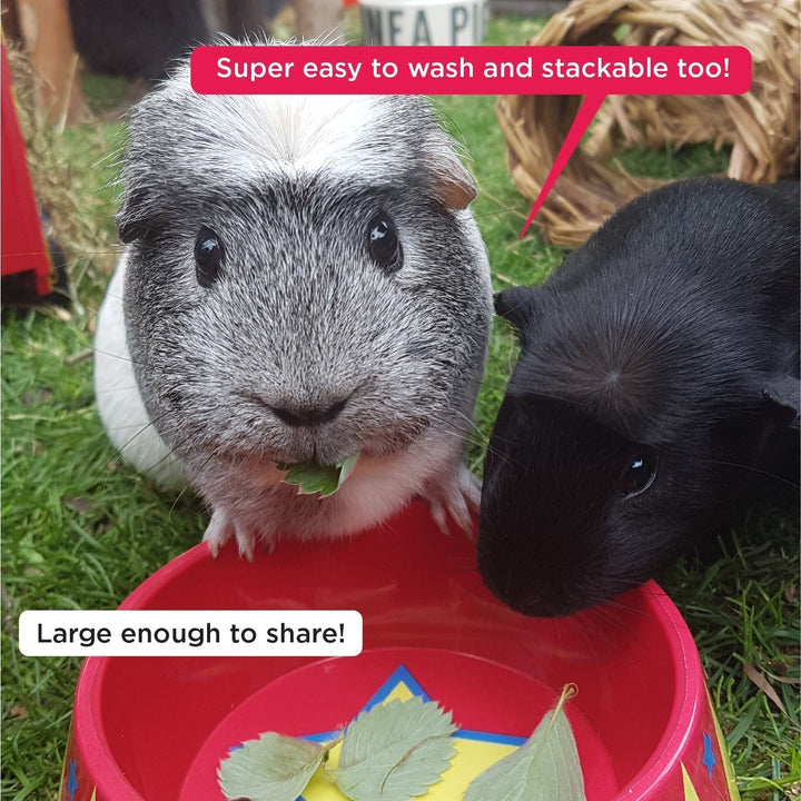 HayPigs! Food Craving Tamer Food Bowl - Just For Pets Australia