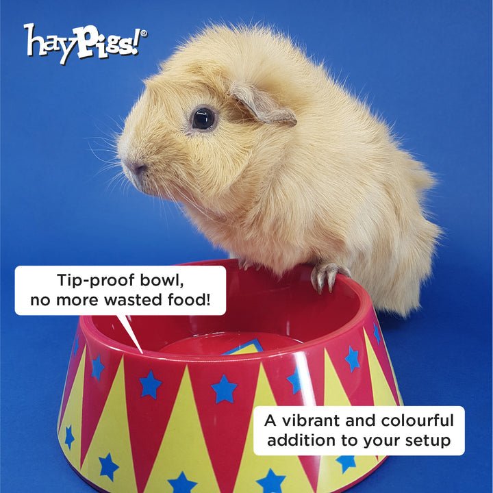 HayPigs! Food Craving Tamer Food Bowl - Just For Pets Australia